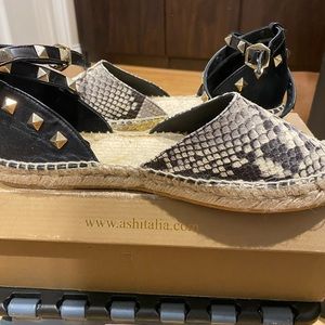 Women’s Ash shoes close toe Brand new in box